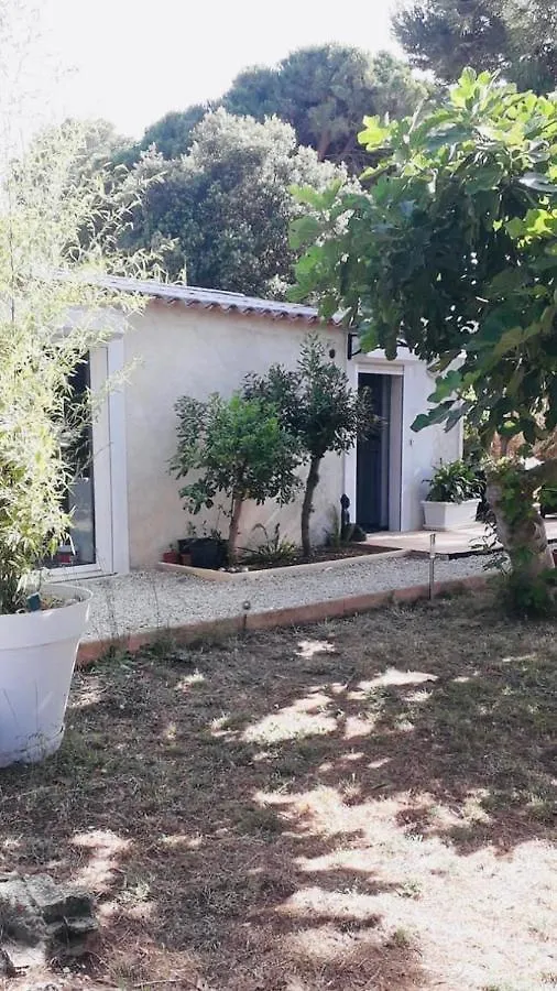 Maisonnette Presqu Ile De Giens Hyeres